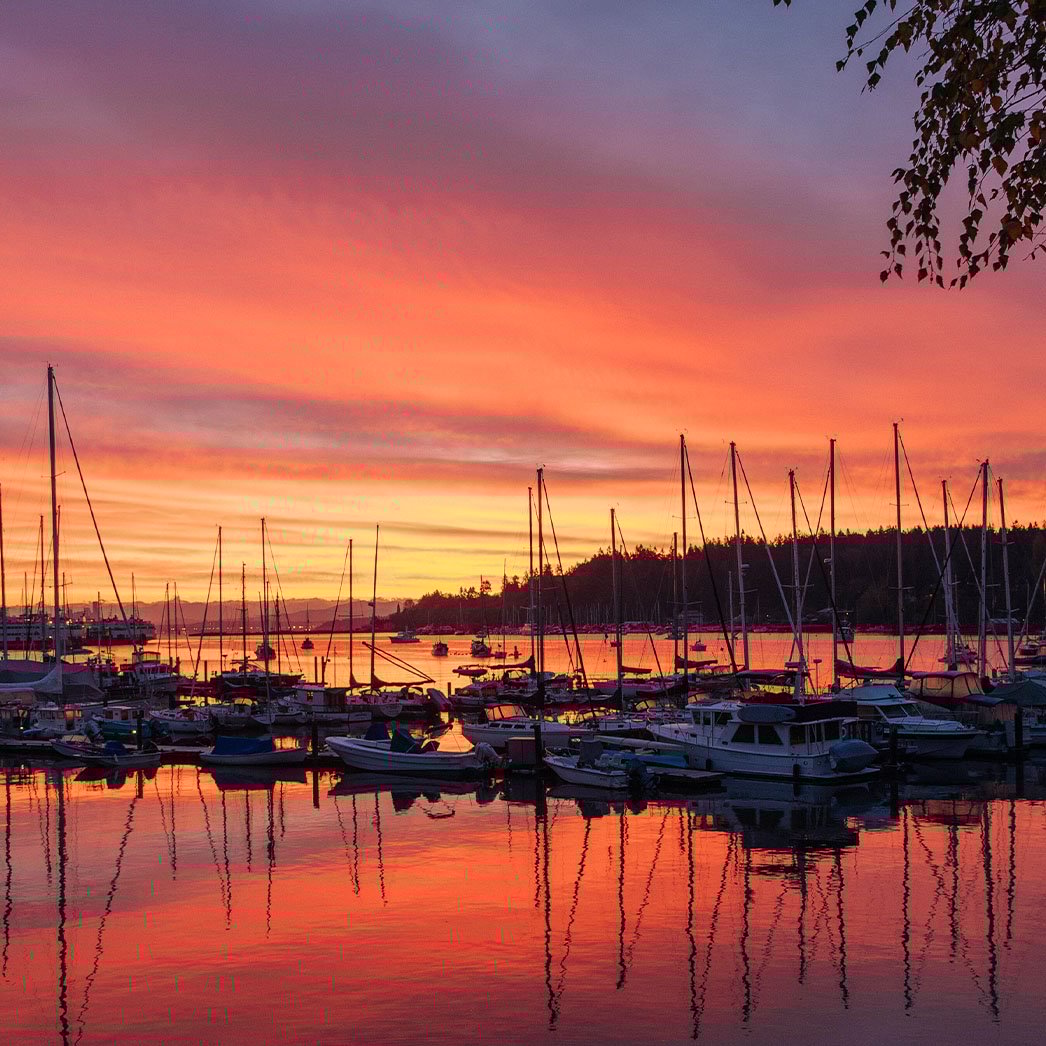 NexusTek_ESP_Marinas_Safe_Harbor_For_Data_Blog_Image_D_Draft_v1.0_0226