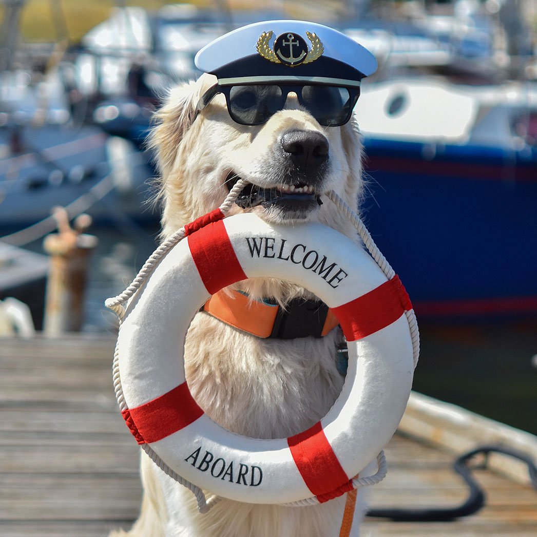 NexusTek_ESP_Running_Tighter_Ship_Blog_Image_C_Draft_v1.0_0226