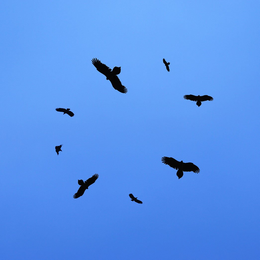 NexusTek_Goldilocks_Zone_Mid-Market_Blog_C_v1.0