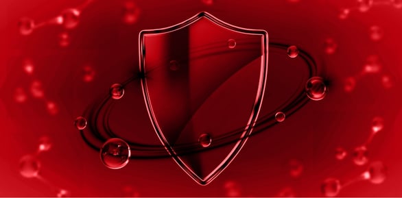 ELEVATE SECURITY PROGRAMS