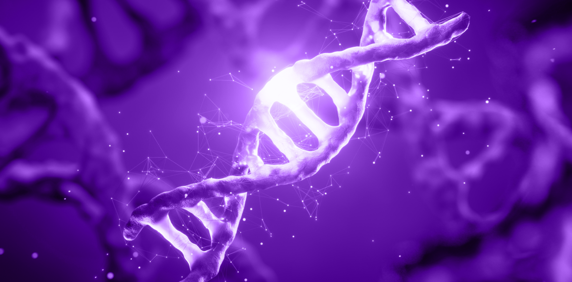 EVOLVE YOUR BUSINESS