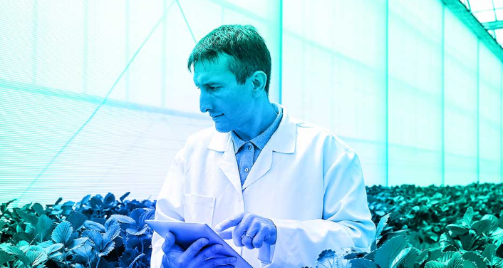 multinational produce distributor