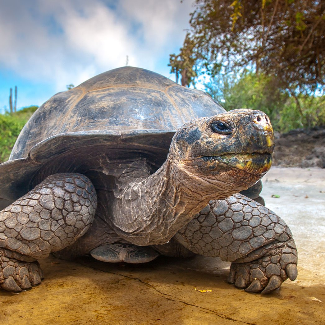 nexustek-lifesciences-data-and-ai-blog-b-v1.0