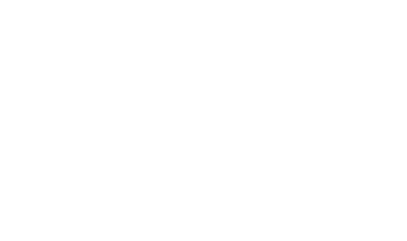 Microsoft IT Professional