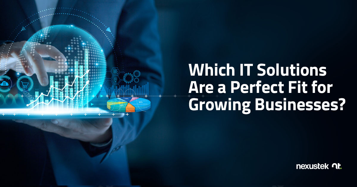 Which IT Solutions Are a Perfect Fit for Growing Businesses?
