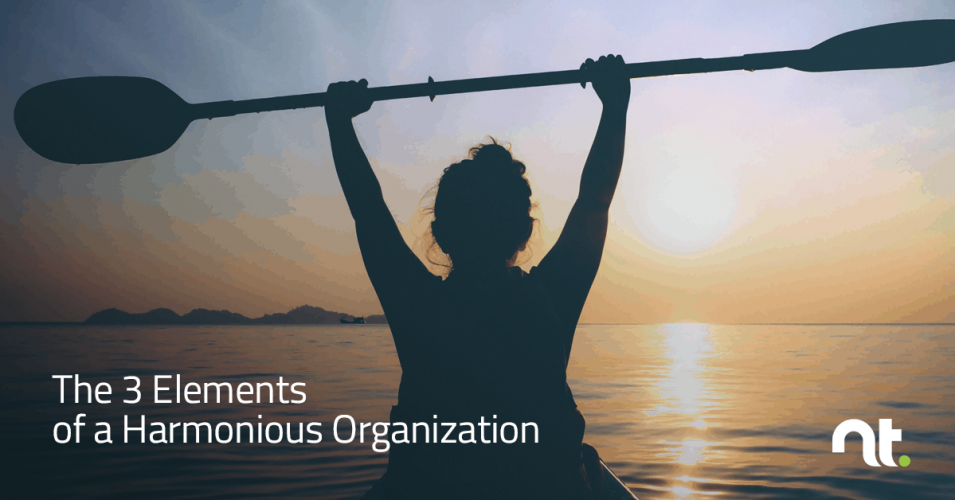 the-3-elements-of-a-harmonious-organization